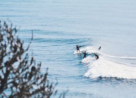 Sunshine Coast Retreats & Trips