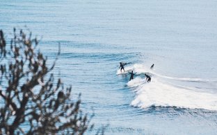 Sunshine Coast Retreats & Trips