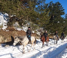 7 Day Wild Riding Holiday in Rila National Park, Bulgaria - Photo 4