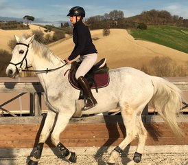 7 Day Luxury Jumping and Flatwork Training in the Italian Marche Countryside, Fermo - Photo 3