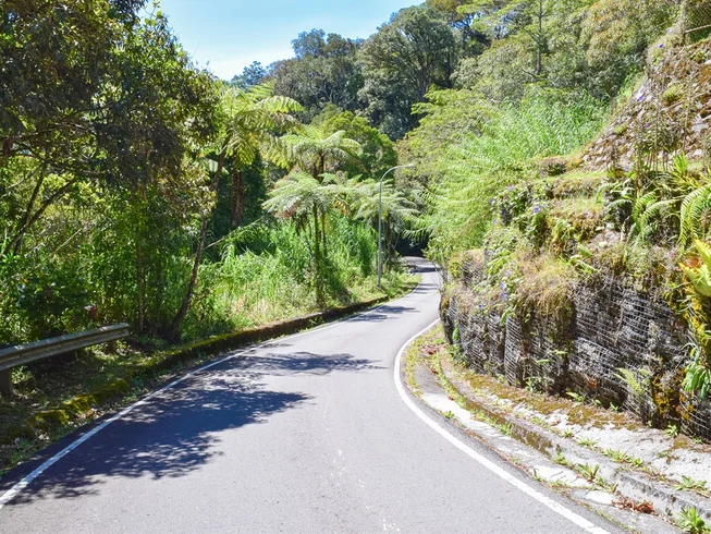 26 Day New Zealand Adventure Guided Motorcycle Tour photo 5