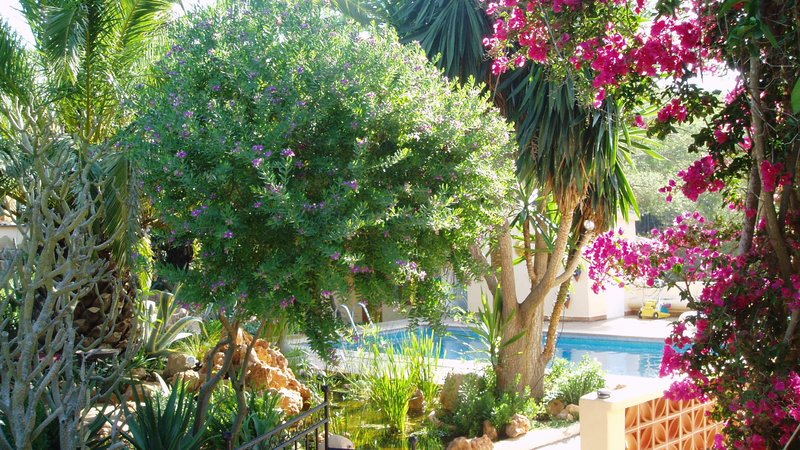 4 Day Personalized Individual Yoga and Mindfulness Retreats at Sea View Eco House in Ibiza