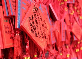 Shandong Retreats und Reisen