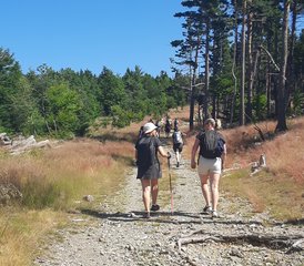 5 jours Au Pied de l’Aigoual: Sejour Rando & Yoga en France - Photo 2