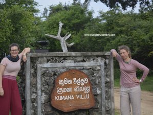 6 Day Best of Sri Lanka Surfing and Wildlife Safari in Kumana National Park 