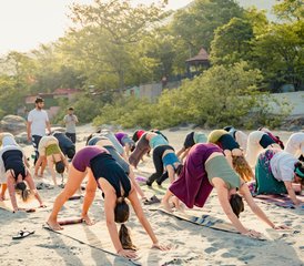 21 días de profesorado de Hatha, Ashtanga, Vinyasa y Yoga Nidra de 300 horas en Rishikesh, India - Photo 4