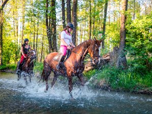 4 Days Exhilarating Horse Riding Holiday at Galiny Palace, Poland