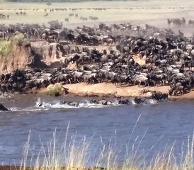 5 jours en safari de camping palpitant dans le Serengeti et le cratère du Ngorongoro, Tanzanie - Photo 4