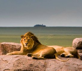 10 días de increíble safari en grupo en Tanzania - Photo 4