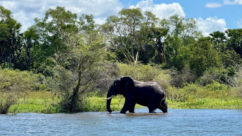 5-Daagse Mini Safari van Centraal naar Zuid-Malawi