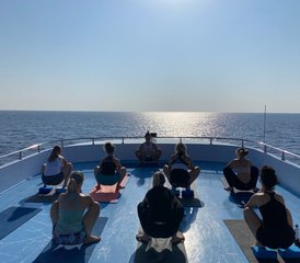 8 Tage Delfin Yoga Retreat - Schwimmen mit freilebenden Delfinen, Yoga und mehr in Ägypten - Photo 3