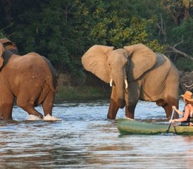 4 Tage Atemberaubende Safari mit Übernachtungs-Kanu-Safari im Lower Zambezi National Park, Sambia - Photo 3