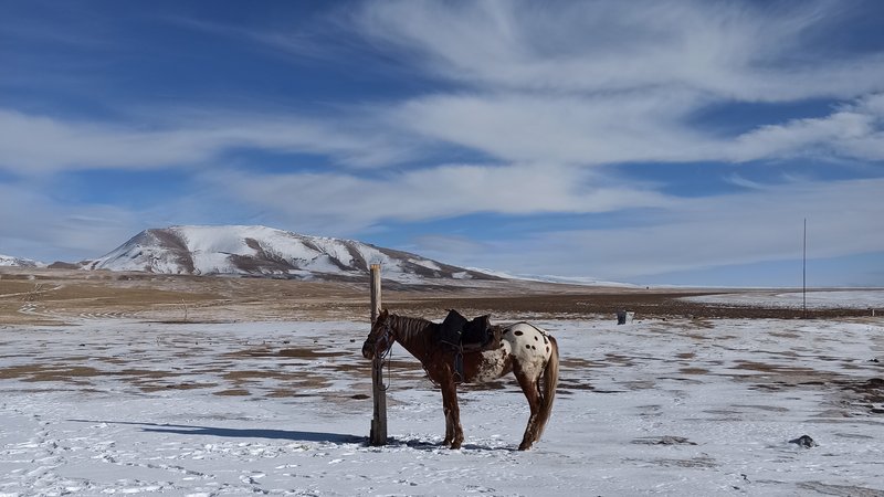8 Day Discover The Celestial Mountains under The Snow Horseback Riding Tour in Kyrgyzstan