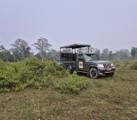 4 jours safari dans la jungle du parc national de Bardia, Népal - Photo 4