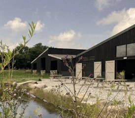 4 Day New Year's Eve Wellness Holiday in Cornwall, UK: Rest, Reflect, Write, and Walk - Photo 5