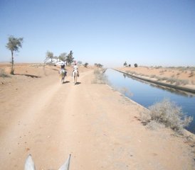 8 Tage Strände, Wüste und Palmenhaine des Großen Marokkanischen Südens Reiturlaub - Photo 3