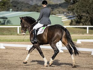 7 Day Dressage Horse Riding Holiday in Macclesfield, Victoria