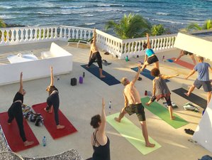 7 Day Replenishment and Renewal Yoga Retreat with Kerr Mcleod in the Mayan Riviera