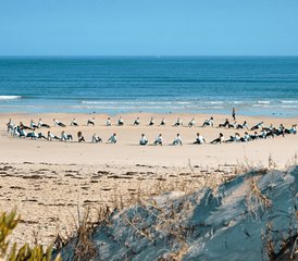 8 Day Peniche Surf Camp in Portugal - Photo 2
