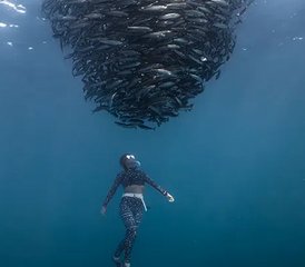 8 días de vacaciones de aventura oceánica en East Cape de Baja, México - Photo 2