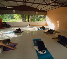 5 días de retiro de meditación y yoga en Rishikesh, India - Photo 2