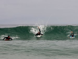 7 Days Fun Surf Camp in Rio de Janeiro, Brazil