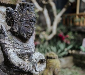 14 Tage Wellness Yoga Retreat in Bali, Indonesien - Photo 4