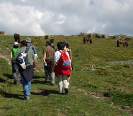 75 Day Hiking and Yoga Retreat in Peneda-Gerês National Park in Portugal - Photo 1