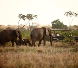 53 jours en safari en petit groupe palpitant au Masai Mara, Kenya - Photo 1