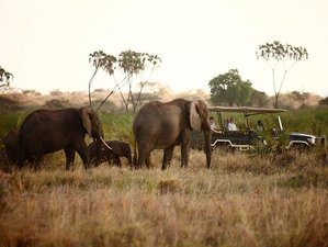 3 Day Exciting Masai Mara Small Group Safari in Kenya 
