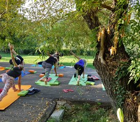 43 Tage Yoga-, Wellness- und Wander-Urlaub in Banyuls-Sur-Mer, Côte Vermeille, Frankreich - Photo 1