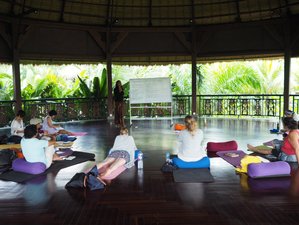 3 Day The Art of Letting Go Wellness Healing Retreat in Ubud, Bali
