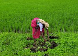 Nashik Retraites et Voyages