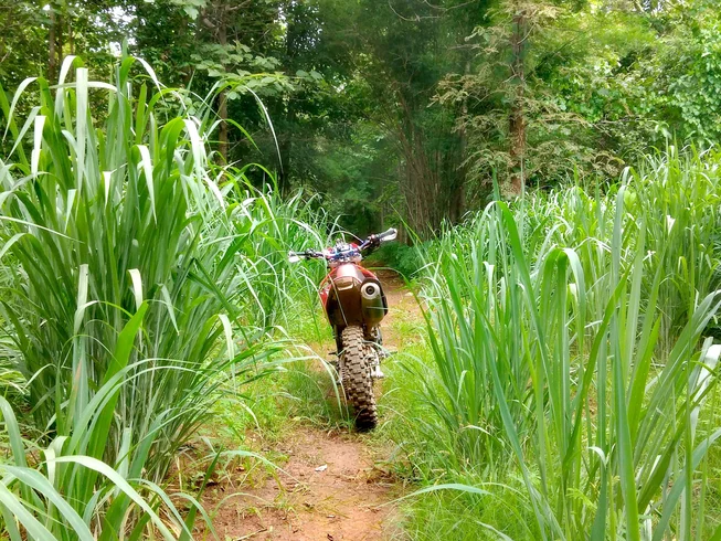 1 Day Non-Residential Guided Off-Road Enduro Tour in Chiang Mai, Thailand photo 8