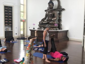 3 Wochen 200-Stunden Yogalehrer Ausbildung mit Anna Winkler und Donna Davidge in Cragsmoor, New York