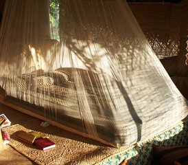 15 Tage Yoga-Heilungsretreat in Ulpotha, Sri Lanka - Photo 5