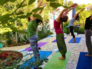 27 Day 200-Hour Yoga Teacher Training in Mali Losinj