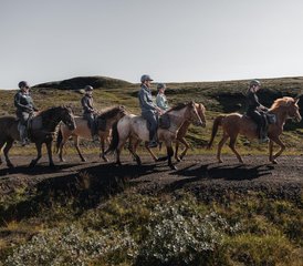 104 Tage Reiturlaub und Golden-Circle-Besichtigung in Island - Photo 1