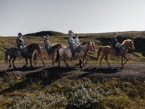 4-Daagse Paardrijden en Golden Circle Sightseeing Vakantie in IJsland