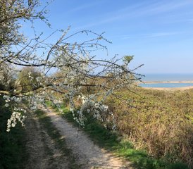 3 Tage im Kurs zur Wiederverbindung mit sich selbst und Yoga, unter Frauen, an der Côte d'Opale, Frankreich - Photo 5