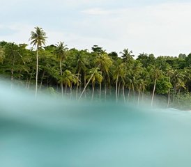 7 jours privés en stage de yoga et surf à Puerto Viejo de Talamanca, Costa Rica - Photo 4