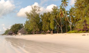Jambiani Beach Retiros y Viajes