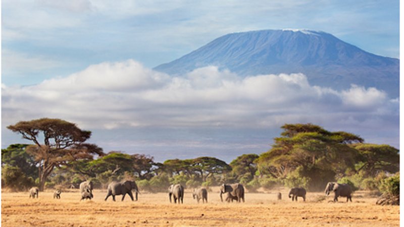 5 Days Amazing Camping Safari in Serengeti and Ngorongoro Crater Tanzania 