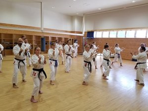 3 Day Karate Camp in Okinawa