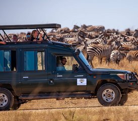 13 Tage Masai Mara und Lake Naivasha Gruppen-Camping-Safari - Photo 1