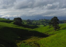 Waikato Retreats & Trips