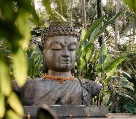 17 Tage Know Yourself: Ihr spirituelles Retreat für tiefe Selbsterkenntnis auf Bali, Indonesien - Photo 1