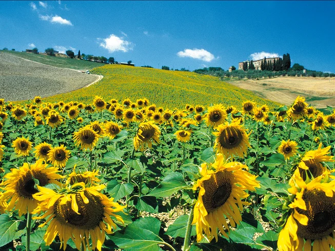 8 Day Ride from Milan to Rome - Premium PRIVATE Guided Motorcycle Tour in Italy photo 9