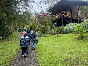 8 Day Tranquil Nights: A Retreat for Inner Calm and Restful Sleep in El Guarco, Costa Rica