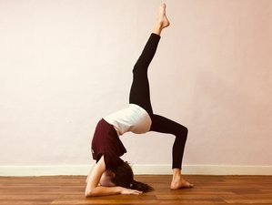 200-Hour Hybrid: Self-Paced Online and 15 Day In-Person Yoga Teacher Training in Framlingham, UK